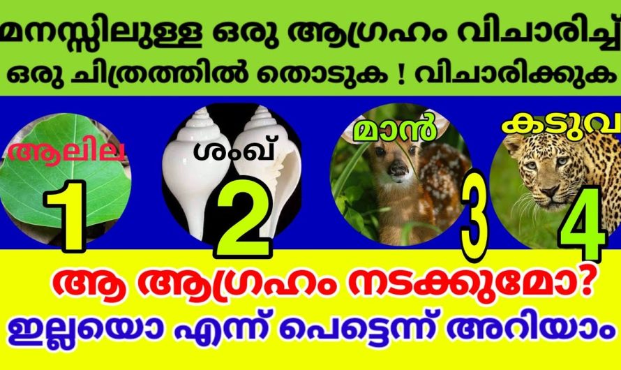 ഈ ചിത്രങ്ങളിൽ ഒന്നിൽ തൊടുകമനസ്സിലുള്ള ഒരു ആഗ്രഹം സാധിച്ചു തരുമോ എന്ന്