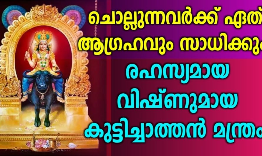 അതീവ ശക്തിയുള്ള വിഷ്ണുമായ മന്ത്രം ഏത് ആഗ്രഹം സാധിക്കാനും ഈ മന്ത്രം ജപിച്ചാൽ മതി…