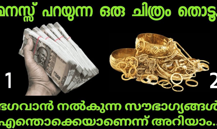 ഭഗവാൻ നൽകുന്ന സൗഭാഗ്യങ്ങൾ എന്തൊക്കെയാണെന്ന് അറിയാം… ഒരു ചിത്രം തിരഞ്ഞെടുക്കുക…