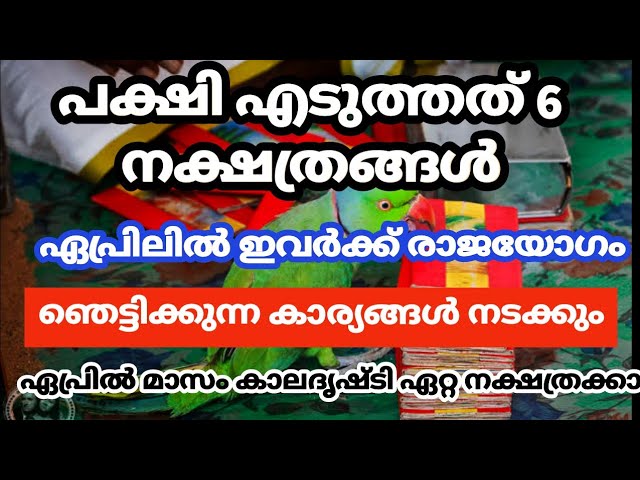 പക്ഷി ശാസ്ത്രപ്രകാരം ഈ 6 നക്ഷത്രക്കാർക്ക് ഏപ്രിൽ രാജയോഗം