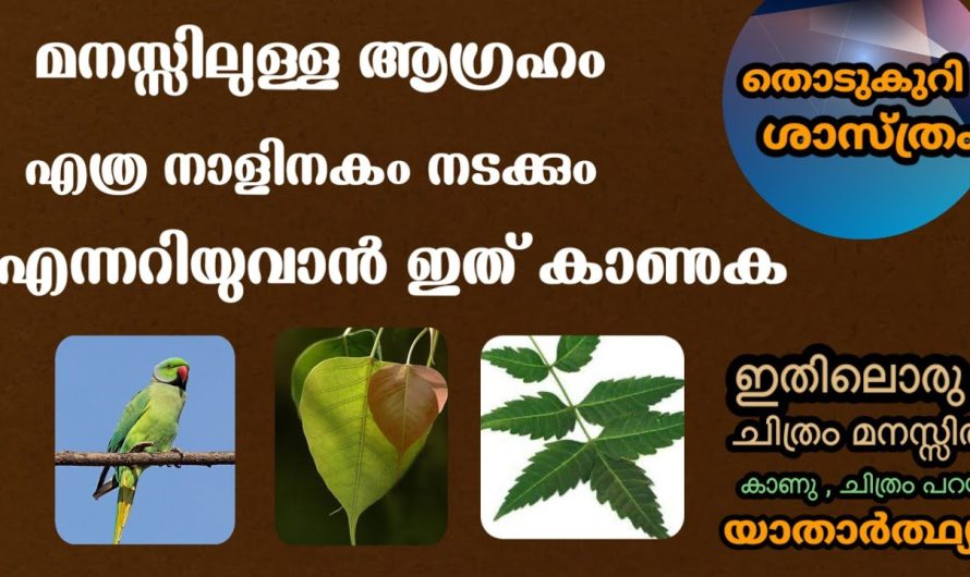 തൊടുകുറി ശാസ്ത്രം പറയും ആഗ്രഹം എത്ര ദിവസം കൊണ്ട് നടക്കും എന്ന്