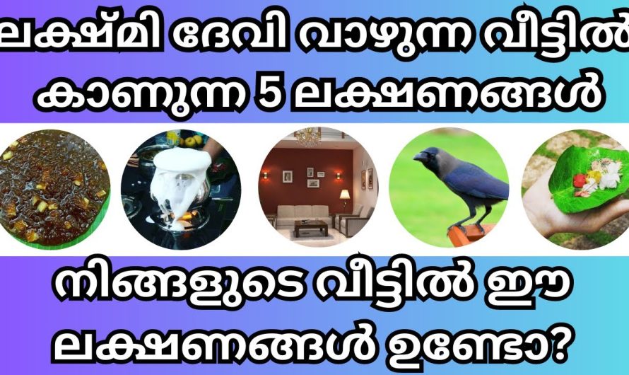 ഈ ലക്ഷണങ്ങൾ എപ്പോഴേലും വീട്ടിൽ കണ്ടിട്ടുണ്ടോ?