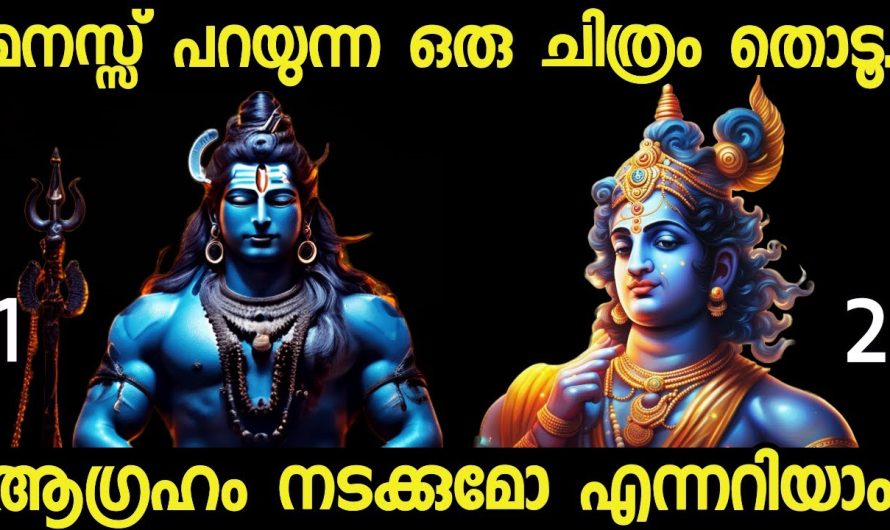 മനസ്സ് പറയുന്ന ഒരു ചിത്രം തൊടൂ..നിങ്ങൾക്ക് വരാൻ പോകുന്ന ഭാഗ്യങ്ങൾ അറിയാം.