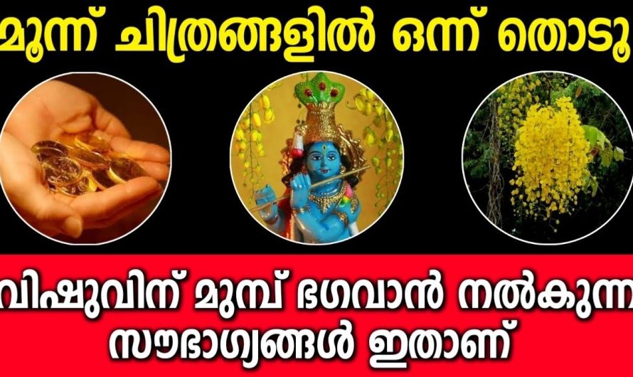 വിഷുവിന് മുമ്പ് ഭഗവാൻ ശ്രീകൃഷ്ണൻ നൽകുന്ന അനുഗ്രഹം ഇതാണ്…