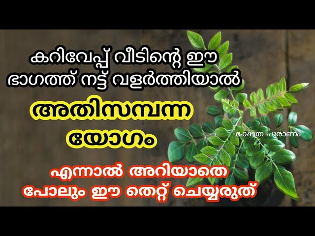 അറിയാതെ പോലും നിങ്ങൾ ഈ തെറ്റ് ചെയ്യരുത്….