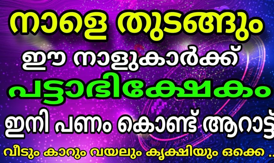 ഈ നാളുകാർക്ക് പട്ടാഭിഷേകം തുടങ്ങി  ഇനി പണം കൊണ്ട് ആറാട്ട്..