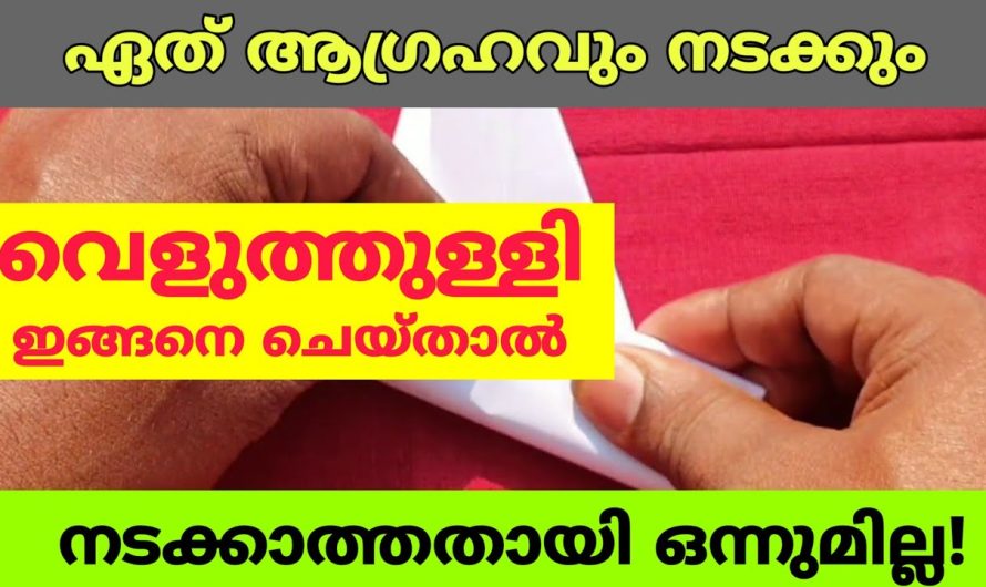 വെളുത്തുള്ളി ഇങ്ങനെ ചെയ്താൽ എന്ത് ആഗ്രഹവും നടക്കും