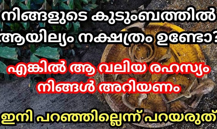 നിങ്ങളുടെ കുടുംബത്തിൽ ഈ നക്ഷത്രക്കാർ ഉണ്ടോ?? എങ്കിൽ ഈ കാര്യങ്ങൾ നിർബന്ധമായും നിങ്ങൾ അറിഞ്ഞിരിക്കണം..