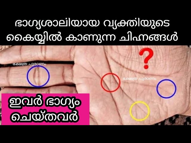 കൈ ഇങ്ങനെ ആണോ എങ്കിൽ നിങ്ങളെ കുറിച്ച് രഹസ്യം പറയാം