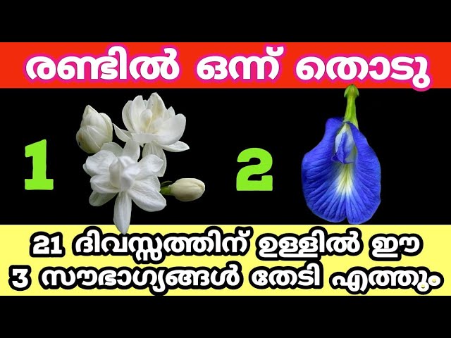 മനുഷ്യായുസ്സിൽ ഒരിക്കൽ മാത്രം സംഭവിക്കുന്നത്, 3 സൗഭാഗ്യം തേടി എത്തും..