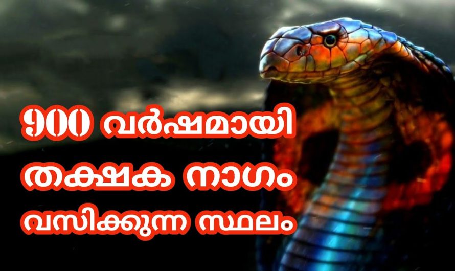 തക്ഷകനാകത്തെക്കുറിച്ച് കേട്ടിട്ടുണ്ടോ?? വർഷത്തിലൊരിക്കൽ മാത്രം ദർശനം…