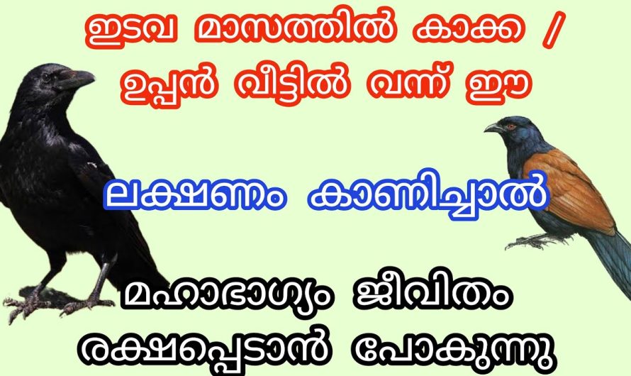 ഈ ഇടവ മാസത്തിൽ കാക്ക / ഉപ്പൻ വീട്ടിൽ വന്ന് ഈ ലക്ഷണം കാണിച്ചാൽ.