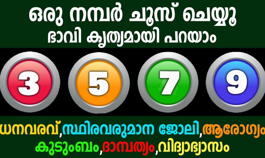 ഒരു നമ്പർ ചൂസ് ചെയ്യൂ ഭാവി കൃത്യമായി പറയാം  മനസ്സിലുള്ള കാര്യം നടക്കാൻ സമയമായോ ഇല്ലയോ,കൃത്യമായി പറയാം,