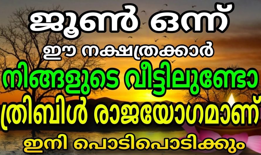 ഈ നാളുകാർ വീട്ടിലുണ്ടോ ? സൗഭാഗ്യമാണ്! ത്രിബിൾ രാജയോഗമാണ്