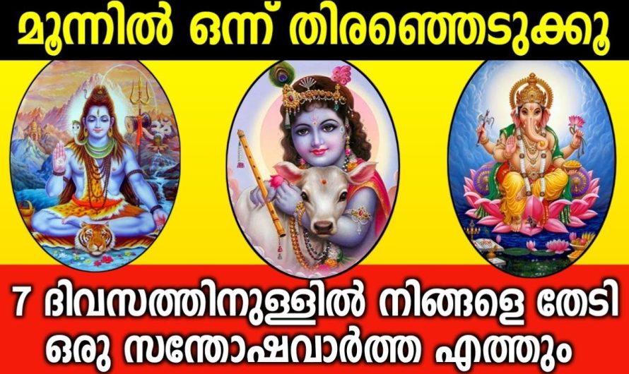 മൂന്നിൽ ഒന്ന് തിരഞ്ഞെടുക്കൂ… 7 ദിവസത്തിനുള്ളിൽ ഒരു സന്തോഷവാർത്ത നിങ്ങളെ തേടിയെത്തും…