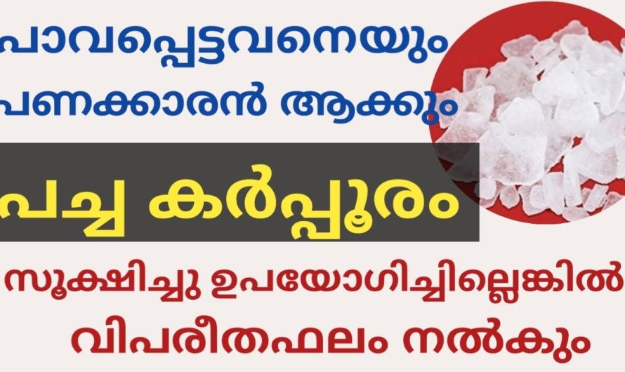 വീട്ടിൽ സമ്പത്ത് ഉണ്ടാവാൻ വെയ്ക്കേണ്ട സ്ഥലങ്ങൾ | ഇങ്ങനെ ഉപയോഗിച്ചാൽ ദോഷം ഉണ്ടാവും