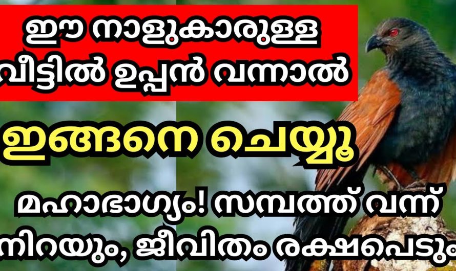 വീട്ടിൽ ഉപ്പൻ വന്നാൽ ഉടനെ ഇങ്ങനെ ചെയ്യൂ,  ജീവിതം രക്ഷപെടും