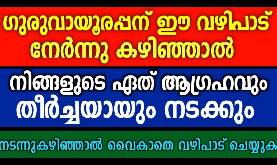 മനസ്സിൽ ഒരു ആഗ്രഹം വിചാരിച്ച് ഗുരുവായൂരപ്പന് ഈ വഴിപാട് നേരൂ… ആഗ്രഹം നടക്കും എന്നത് തീർച്ച.