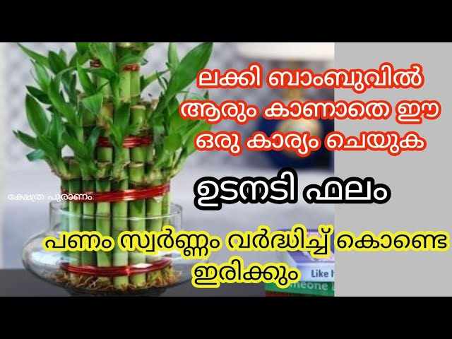 ആരും കാണാതെ ചെയ്താൽ പണവരവ് പതിൻ മടങ്ങ് വർദ്ധിക്കും.