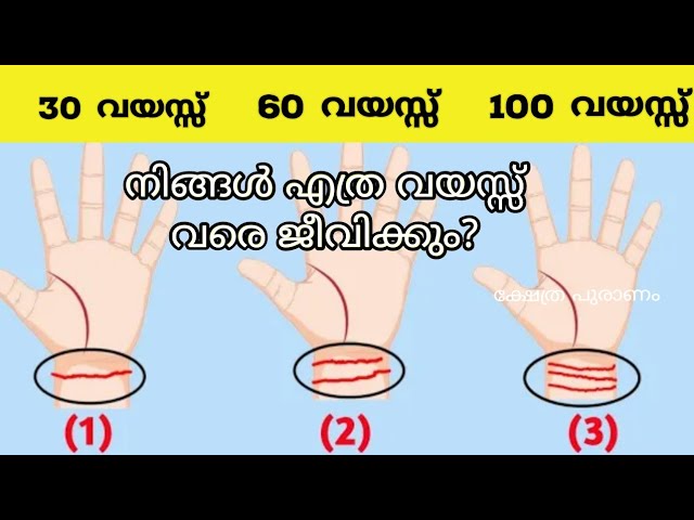 ജീവിതത്തിൽ സുഖവും സന്തോഷത്തോടെ ദീർഘായുസ്സ് നേടുന്നവരുടെ കൈരേഖകൾ