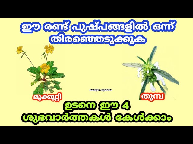 ദൈവാനുഗ്രഹത്താൽ ഉടനെ കേൾക്കാൻ പോകുന്ന ശുഭവാർത്തകൾ.