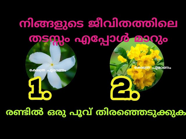 നിങ്ങളുടെ ഉയർച്ചക്ക് തടസ്സം ഇതാണ്. എപ്പോൾ മാറും തൊടുകുറി