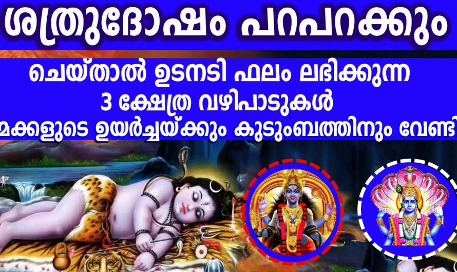 ശത്രുദോഷം പറപറക്കും, ഉടനടി ഫലം ലഭിക്കുന്ന 3 ക്ഷേത്ര വഴിപാടുകൾ