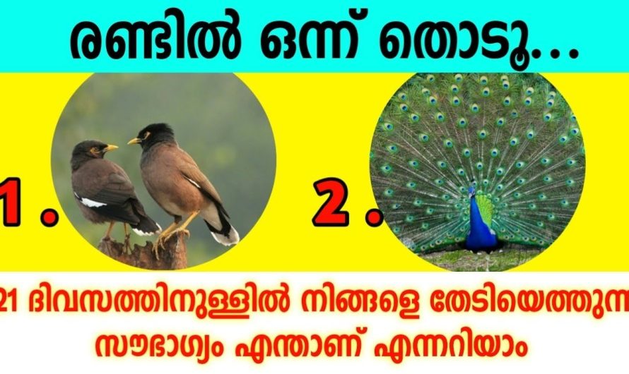 രണ്ടിൽ ഒന്ന് തൊടൂ… നിങ്ങളെ തേടി വരുന്ന സൗഭാഗ്യം എന്താണെന്ന് നോക്കാം…