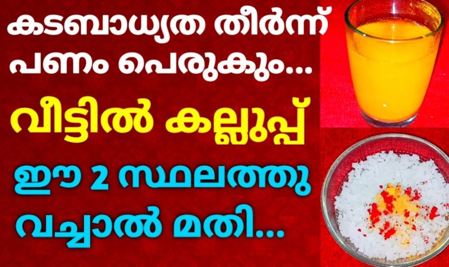 കടം പൂർണ്ണമായും തീർന്ന് പണം പെരുകും… വീട്ടിൽ കല്ലുപ്പ് ഈ 2 സ്ഥലത്ത് വച്ചാൽ മതി !!!