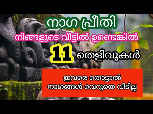 ഈ വീട്ടുകാരെ ഉപ്രദവിക്കല്ലെ നാഗങ്ങൾ വെറുതെ വിടില്ല…