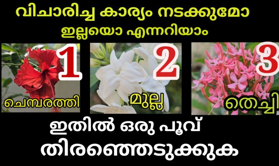 ഒരു പൂവ് തെരഞ്ഞെടുക്കുക വിചാരിച്ച കാര്യം നടക്കുമോ ഇല്ലയോ എന്ന് അറിയാം….