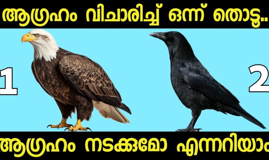 മനസ്സ് പറയുന്ന ഒരു ചിത്രം തൊടൂ..നിങ്ങൾക്ക് വരാൻ പോകുന്ന ഭാഗ്യങ്ങൾ അറിയാം.