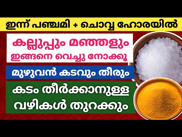 കല്ലുപ്പും മഞ്ഞളും ഇങ്ങനെ വെച്ചുനോക്കൂ… കടങ്ങൾ തീർക്കാനുള്ള വഴികൾ തുറക്കും….