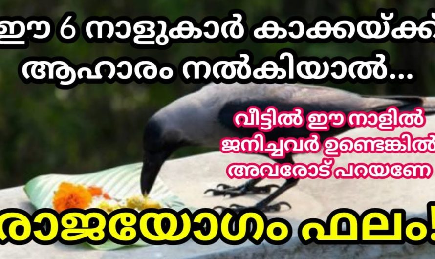 ഈ 6 നാളുകാർ കാക്കയ്ക്ക് ആഹാരം നൽകിയാൽ രാജയോഗം ഫലം –