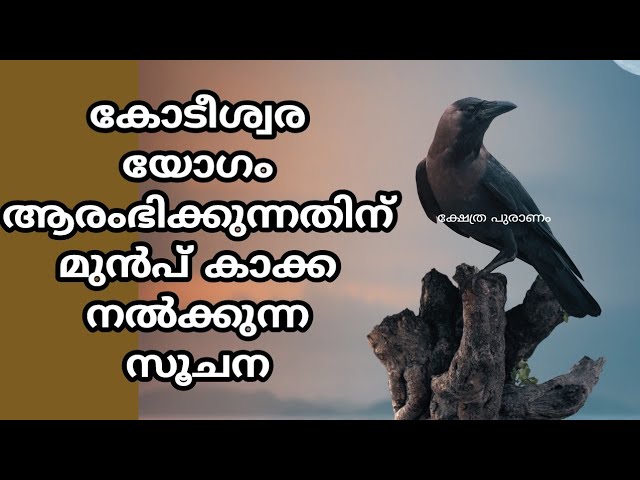 വീടുകളിൽ കാക്ക ഈ ഒറ്റ കാര്യം ചെയ്താൽ കോടീശ്വര യോഗം.