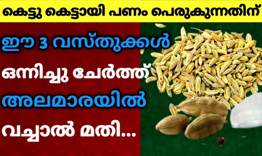 കുറയാത്ത അളവിൽ പണം പെരുകുന്നതിന്… ഈ 3 വസ്തുക്കൾ ഒന്നിച്ചു അലമാരയിൽ വച്ചാൽ മതി