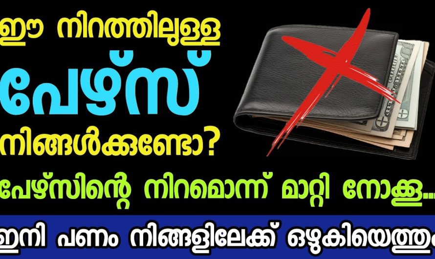 പേഴ്‌സിന്റെ നിറമൊന്ന് മാറ്റി നോക്കൂ.പണത്തിന്റെ കുത്തൊഴുക്കായിരിക്കും, സമ്പന്നനാകാം.