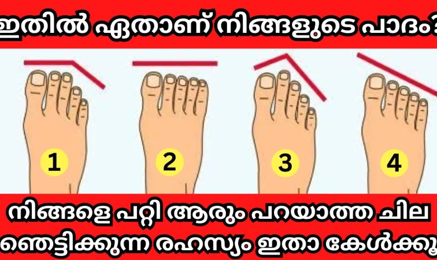 നിങ്ങളുടെ പാദം നോക്കി നിങ്ങളുടെ ഭാവിയെപ്പറ്റി ചില ഞെട്ടിക്കുന്ന രഹസ്യം ഇതാ