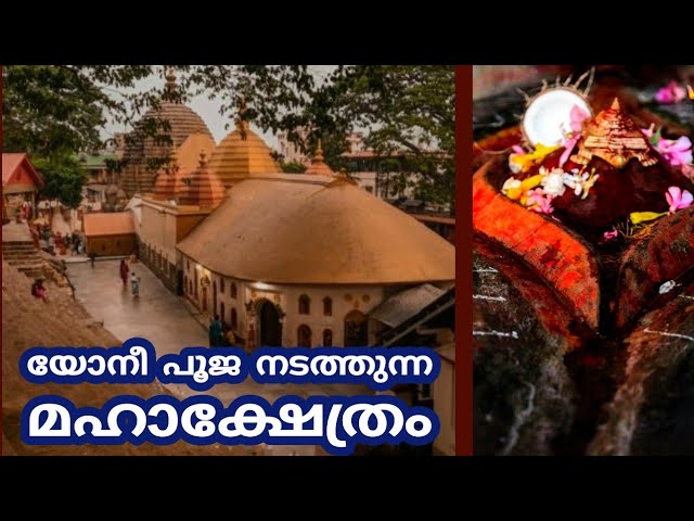 കാമാഖ്യ ക്ഷേത്രം||യോ.നീ.പൂജയും ആര്‍ത്തവകാലത്തെ ആഘോഷവും