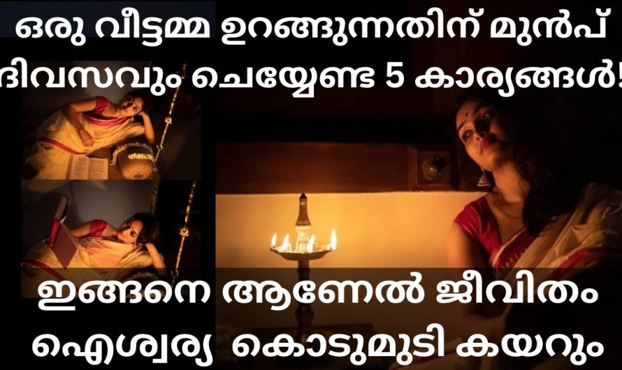 ഒരു വീട്ടമ്മ ഉറങ്ങുന്നതിനു മുൻപ് ദിവസവും ചെയ്യേണ്ട 5 കാര്യങ്ങൾ!