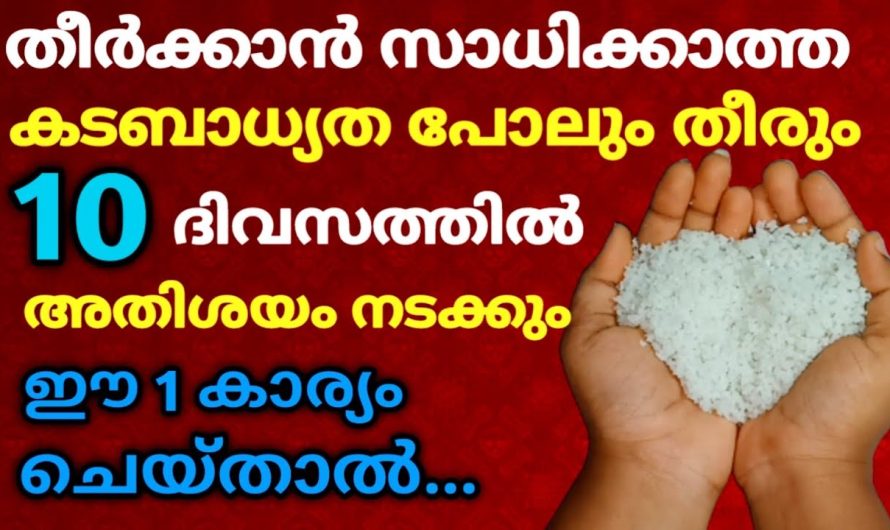 തീർക്കാൻ സാധിക്കാത്ത കടബാധ്യത പോലും തീരും… 10 ദിവസത്തിനുള്ളിൽ ആഗ്രഹിക്കുന്നത് 100% നടക്കും !!!