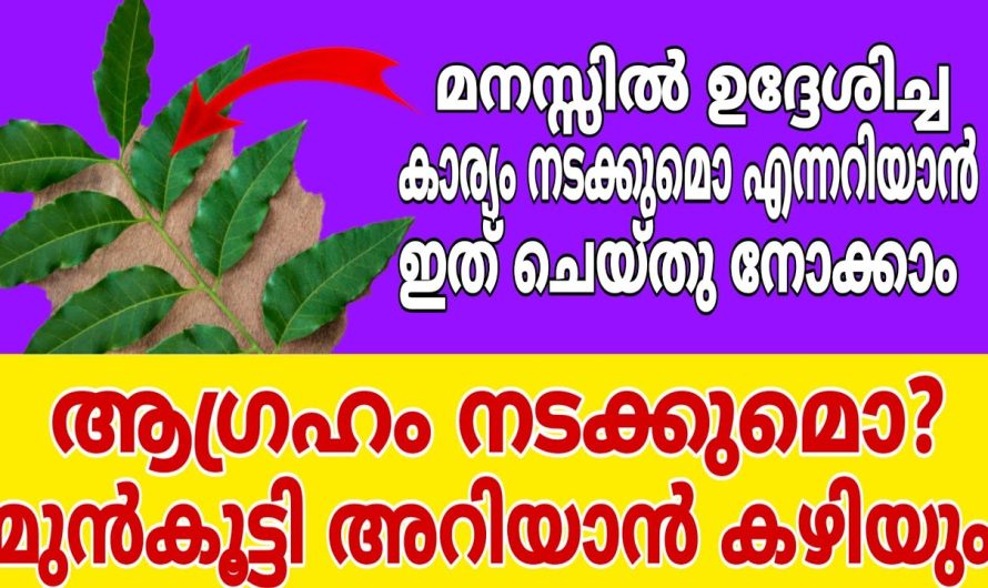 മനസ്സിൽ ഉദ്ദേശിച്ച ആഗ്രഹം നടക്കുമൊ എന്ന് മുൻ കുട്ടി അറിയാൻ ഇതു മാത്രം മതി