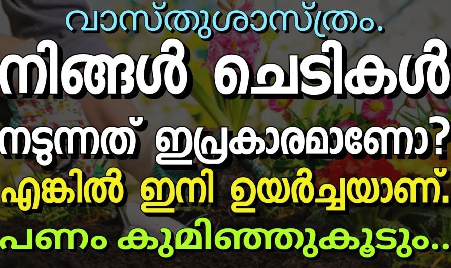 നിങ്ങൾ ചെടികൾ നടുന്നത് ഇപ്രകാരമാണോ,വാസ്തുശാസ്ത്രം..