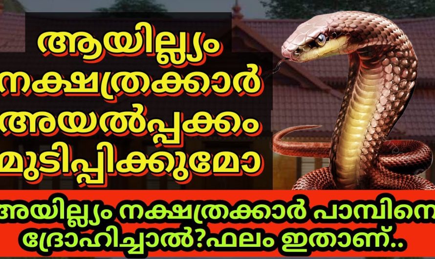 ആയില്ല്യം നക്ഷത്രക്കാർ അയൽപക്കം മുടിപ്പിക്കുമോ? നിങ്ങളുടെ സ്വഭാവം ഇതൊക്കെയാണ്..