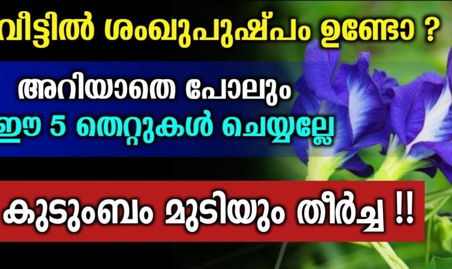 വീട്ടിൽ ശംഖുപുഷ്പം ഉണ്ടെങ്കിൽ ഈ തെറ്റ് ചെയ്യല്ലേ… വീട് മുടിഞ്ഞു പോകും…