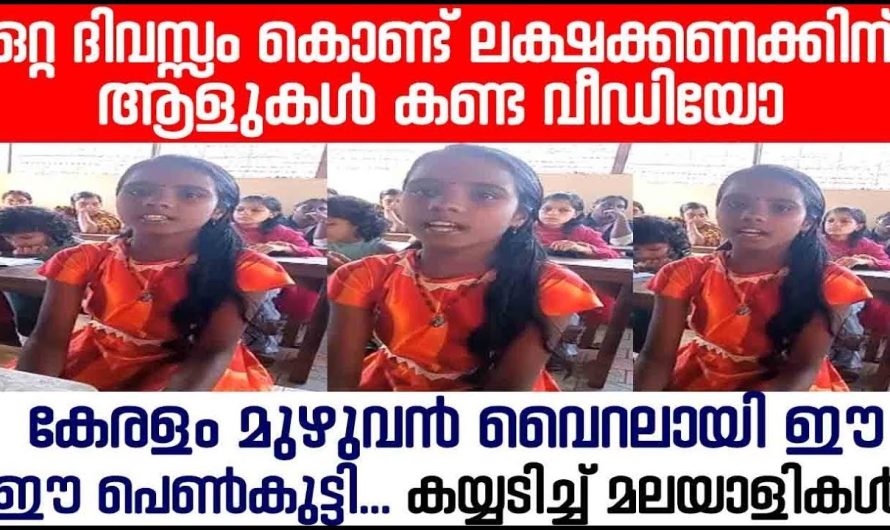 ഒറ്റ ദിവസ്സം കൊണ്ട് ലക്ഷക്കണക്കിന് ആളുകൾ കണ്ട വീഡിയോ