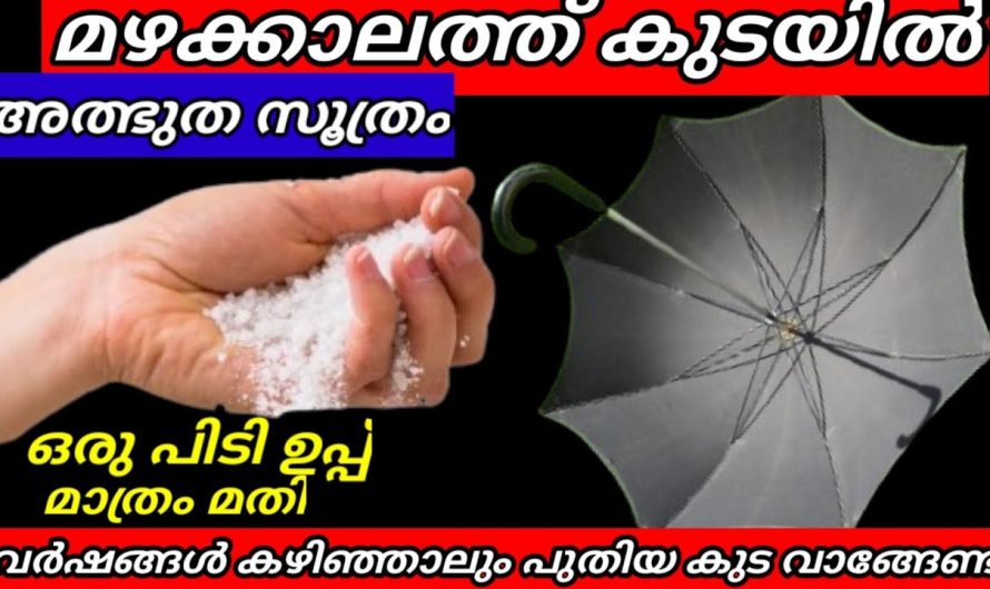 ഇനി ദീർഘകാലം കുട ഉപയോഗിക്കാം / ഉപ്പ് സൂത്രം ഞെട്ടിച്ചു കളഞ്ഞല്ലോ