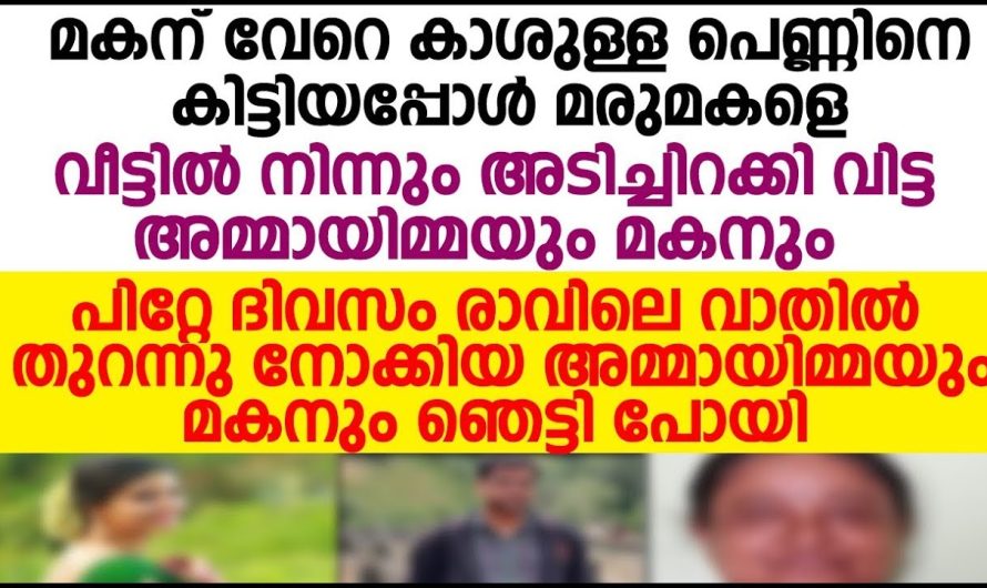 കാശുള്ള പെണ്ണിനെ കിട്ടിയപ്പോൾ മരുമകളെ അടിച്ചിറക്കിവിട്ട അമ്മായിമ്മയും മകനും സംഭവിച്ചത്