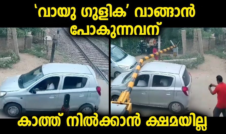 കാത്തു നില്ക്കാൻ ക്ഷമയില്ലാത്ത കാർ ഡ്രൈവർ ട്രെയിൻ പോകുന്നതിന് മുന്നേ പോയ കാഴ്ച