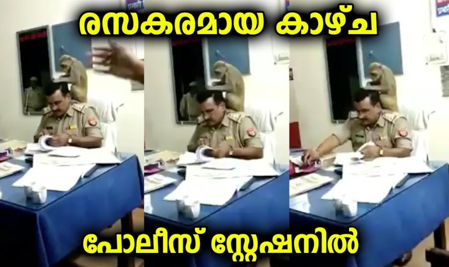 രസകരമായ പോലീസ് സ്റ്റേഷനിലെ ഈ കാഴ്ച കണ്ടാൽ ആരായാലും ചിരിച്ചുപോകും